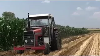 Massey Ferguson 285 Efsane Serisinden Sürüm 2 çi Ürün İçin Hazırlık