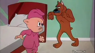 Looney Tunes - Porky's hotel animal problems