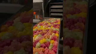 Freeze dried gummy bears