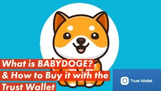 What is BabyDoge Coin & How to Buy It Using Pancake Swap