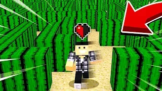 SURVIVRE DANS MINECRAFT AVEC UN DEMI COEUR !