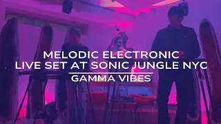 Gamma Vibes - Live set from earth day festival by Sonic Jungle NYC