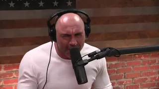 Joe Rogan - People Who Don't Know How To Fight Just Blow Their Load