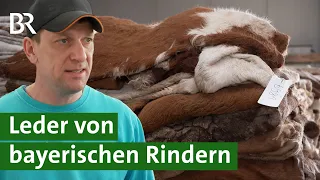 Beim Schlachten nichts verschwenden: Leder von bayerischen Rindern | Autositze | Unser Land | BR