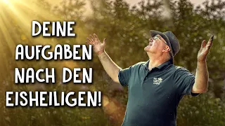 5 Dinge, die du nach den Eisheiligen tun solltest! 🌻 - Gartenarbeit im Mai