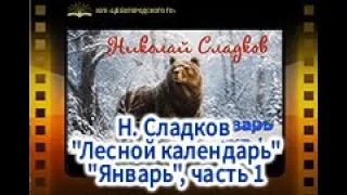 Читаем книгу Н. Сладкова "Лесной календарь". "Январь", часть 1