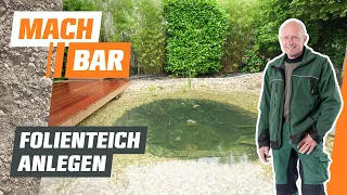 Folienteich anlegen & bepflanzen | OBI