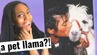 Michael Jackson does a TRICK with his pet LLAMA!  😆| Michael Jackson Reaction Video