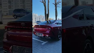 Kia K5 в цвете Passion Red Tint Coat. Покупка авто из США #shorts #автоизсша #автоподзаказ