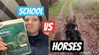 HOW I BALANCE SCHOOL WITH HORSES -  My After School Routine // vlogmas 3