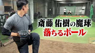 斎藤佑樹がフォークを投げてくれました。