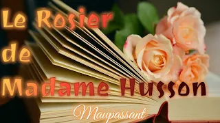 Livre audio : Le Rosier de Madame Husson, Guy de Maupassant