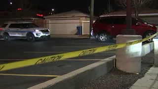 1 shot in attempted carjacking in Lou Malnati's parking lot near Midway