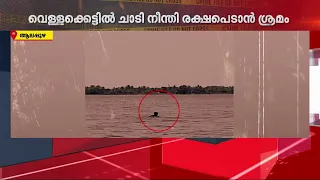 വെള്ളക്കെട്ടിൽ ചാടി നീന്തി കാപ്പാ കേസ് പ്രതി; സാഹസികമായി പിടികൂടി പുന്നപ്ര പോലീസ്