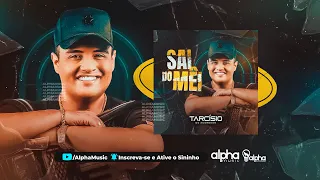 CD SAÍ DO MÊI - Tarcisio do Acordeon | Repertório Novo 2K24 - CD Completo - Maio 2024 - AlphaMusic