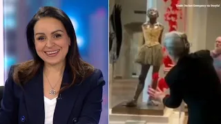 Lefties losing it: Rita Panahi slams climate activist defacing artwork