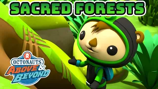 Octonauts: Above & Beyond - Deep Within the Hidden Forest | Compilation | @OctonautsandFriends