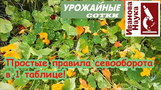 Что за чем сажать в огороде и теплице? Правильный севооборот в одной таблице.