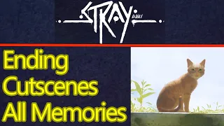 Stray ending cutscenes all memories (spoilers) is there a secret ending?