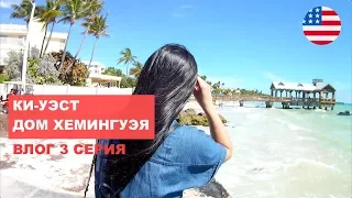 Ки-Уэст, Дом Хемингуэя, Шестипалые Коты, Жизнь на Острове, Океан, Пальмы и Петухи