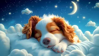 Fall asleep quickly - relaxing music/fall asleep in the clouds with your dog