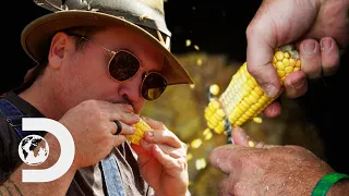 Mike And Jerry Hunt For Sweetcorn! l Moonshiners