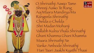 Shrinathji Satsang | 11 Beautiful Songs | Hari Taari Zaakhi