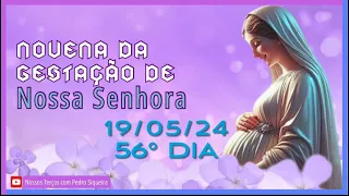 NOVENA DA GESTAÇÃO DE NOSSA SENHORA - 56º DIA - INTENÇÃO PEDRO SIQUEIRA