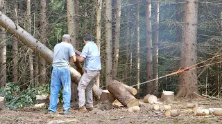 Using Snatch Blocks Pulleys To Move Trees | Bonus Fat Hemlocks Episode