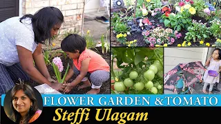 Flower Garden in Tamil | Growing tomatoes in Tamil