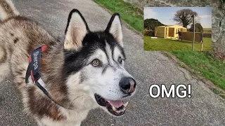 Husky Gets His New Build! OMG It's Massive!