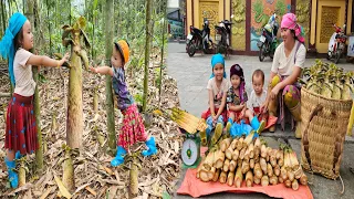 Single Mom - Raising three children alone & Harvest bitter bamboo shoots go market sell, Cooking