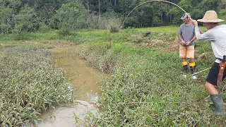 Quase não tinha água mas traíras eram muitas, pescaria!!!