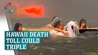 Hawaii Death toll could triple