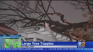 Storm Causes Damage Across Southland