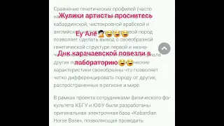 днк мифической кабардинской "породы" наши соседи кабардинцы повезли в лабораторию днк карачаевской😂