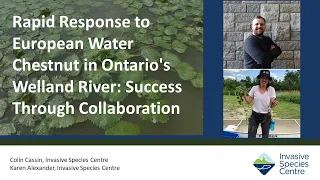 Rapid Response to European Water Chestnut in Ontario's Welland River: Success Through Collaboration