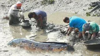 STRONGEST FISHERMAN VS STRONGEST FISHES | AMAZING FISHING