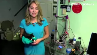 Paralyzed kitten gets help from tech group