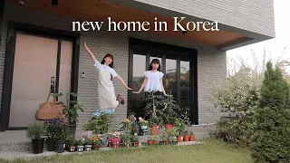 Cottage life in Korea: building a new home garden, cheapest flower market, cooking cinnamon roll