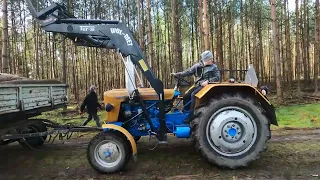 🔥Wyjazd do lasu po drzewo. URSUS C-330 i  Mtz 82🔥