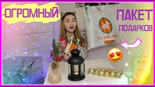 ПОКУПКИ ИЗ ЗООМАГАЗИНА! / ОГРОМНЫЙ ПАКЕТ ПОДАРКОВ ДЛЯ ПИТОМЦЕВ! / ПОКУПКИ ДЛЯ КРОЛИКА и КРЫС!