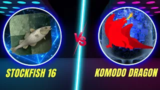 Stockfish 16 vs Komodo Dragon!! BRILLIANT Fight!!!