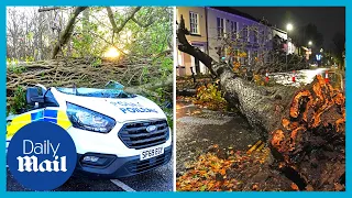 Storm Arwen chaos: Three dead and over 130,000 homes are without power