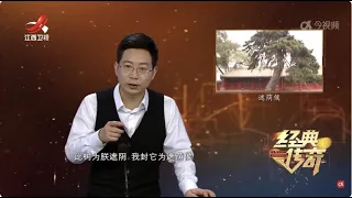 《经典传奇》 景中乾坤·不得不说的国宝传奇 20240412