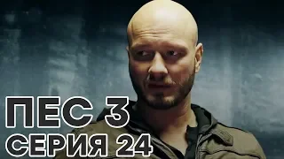 Сериал ПЕС - 3 сезон - 24 серия - ВСЕ СЕРИИ смотреть онлайн | СЕРИАЛЫ ICTV