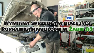 Gregor Performance Garage - wymiana sprzęgła w białej A3 + naprawa prowadnic w Żabie