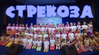 Хореографический коллектив "Стрекоза"