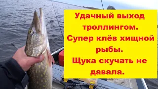 Удачный выход на хищную рыбу.Супер клёв.Щука не давала скучать.Озеро Буртниекс LV.Cope Burtniekos.