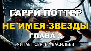 Не имя звезды - Глава 3 | Гарри Поттер (аудиокнига Васильев С.)